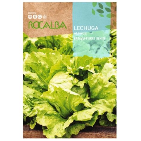 Rokalba Seed Lechuga von Pierre Benite 100G