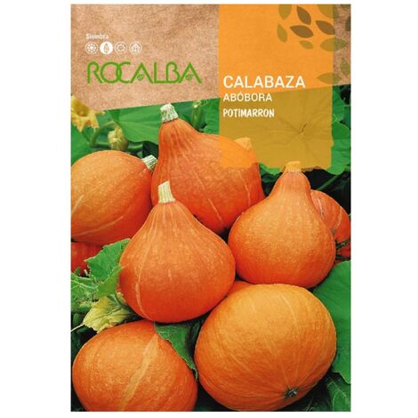 Rokalba Seed Pumptare Potimarron 500G