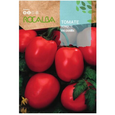 Rokalba Seeds Tomaten Rio Big 10 g
