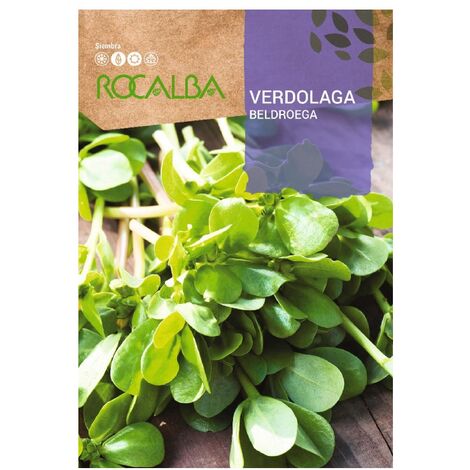 Rokalba -Verlaga -Taschen 4G Samen