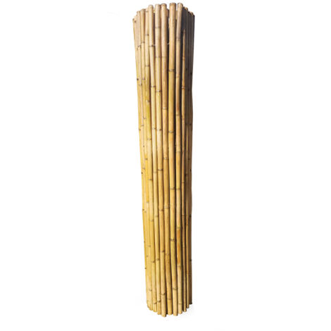 Roll of Bamboo Screen for garden fencing - L200 x W3 x H200 cm - Moso