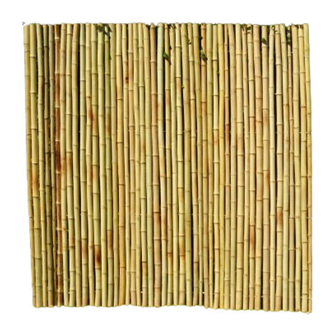Roll Screen for Garden Fencing - Bamboo - L200 x W3 x H200 cm - Moso
