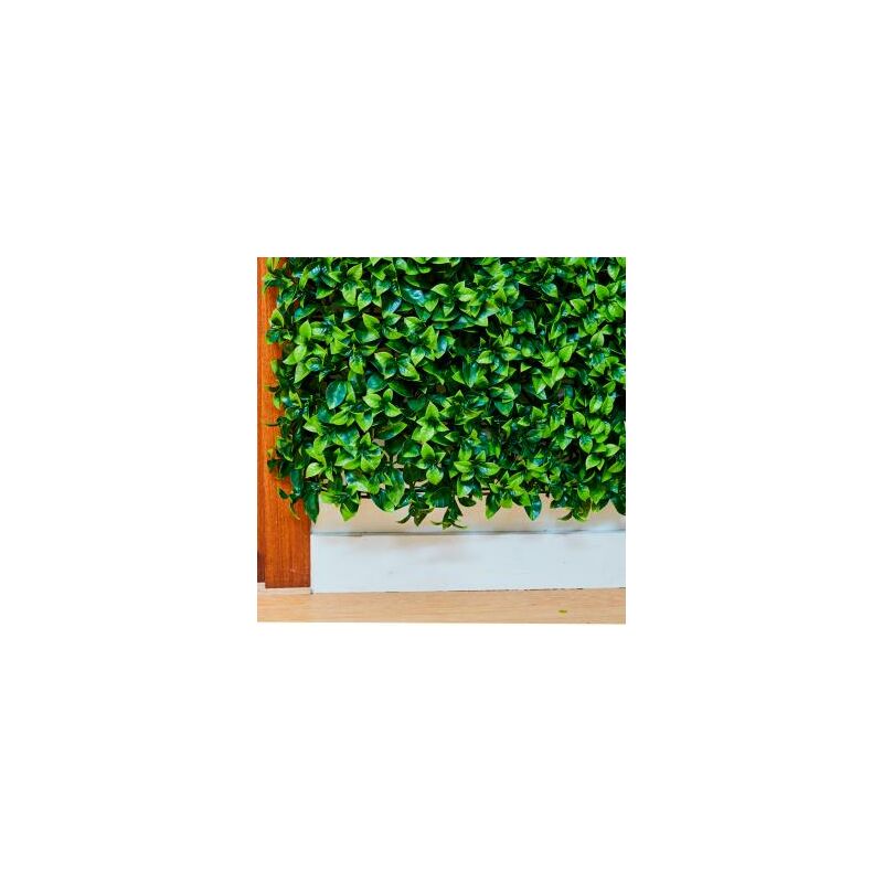 

Catral - Rollo Jardin Vertical Boj Balear 100 Ø