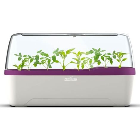 Romberg BOQUBE L PLUS Gewächshaus & Pflanzkasten-System 41x17x23cm mit Belüftung weiß/pflaume