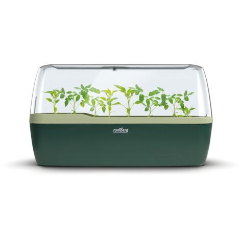 Romberg BoQube L Plus Green Edition Gewächshaus & Pflanzkasten, 41x17x23
