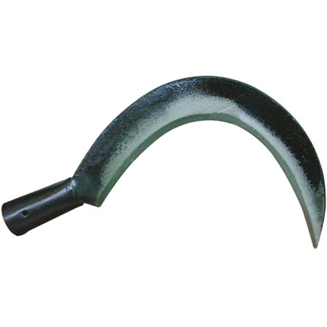 RONCOLA SCANZANO