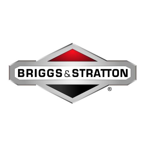 Rondella elastica trattorino tagliaerba rasaerba BRIGGS & STRATTON 1709256