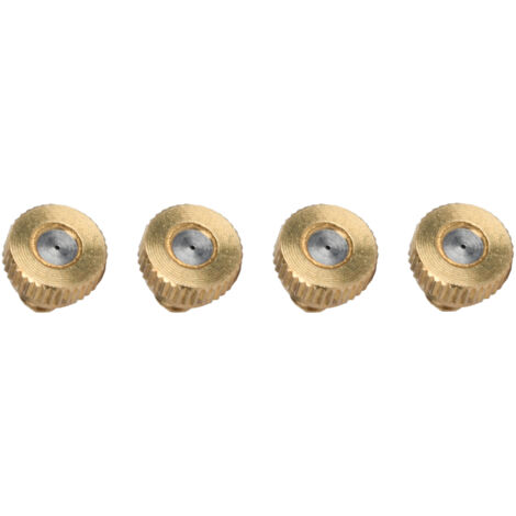 Rondella in ottone per nebulizzatore WERKA PRO  4 pezzi