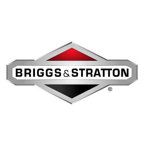 Rondella trattorino tagliaerba rasaerba 1401102MA BRIGGS & STRATTON