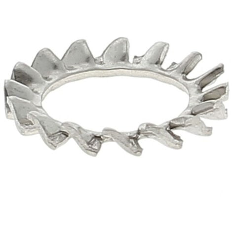 BRICOVIS 6 Inox A4 DIN 6798