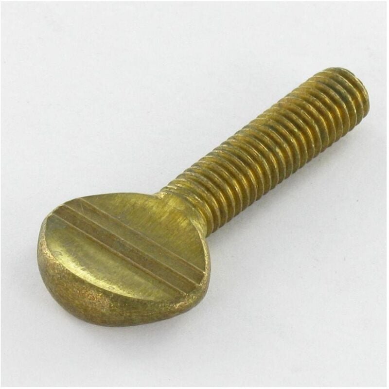 Vis Express - Vis violon Laiton M6X40-30 pièces