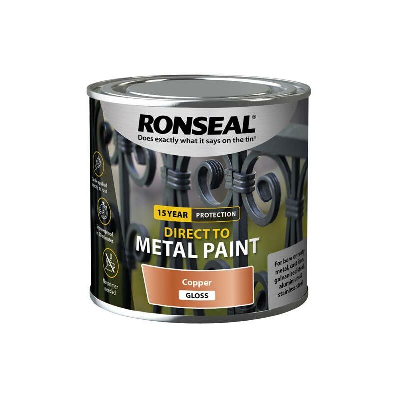 39405 Direct to Metal Paint Copper Gloss 250ml RSLDTMCG250 - Ronseal