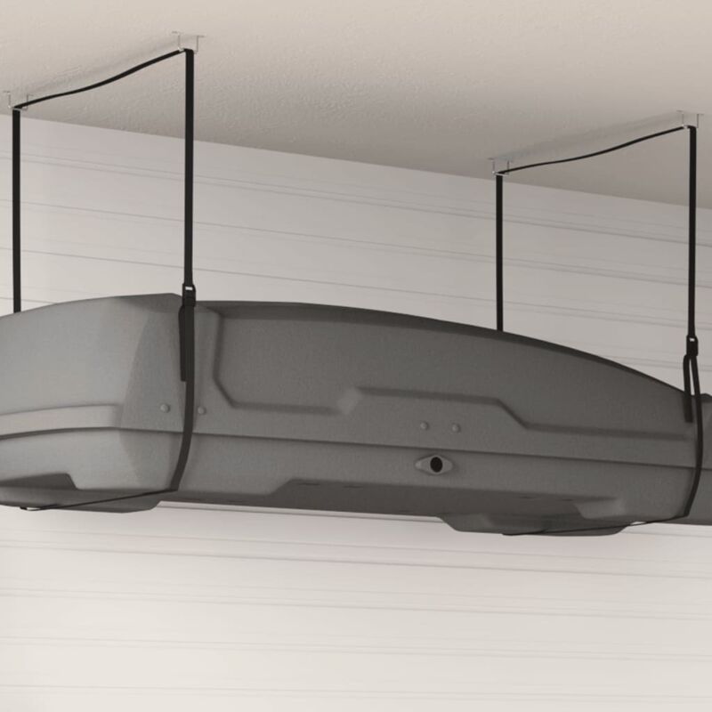 Roof Box Lift 100 Kg Nylon Vidaxl