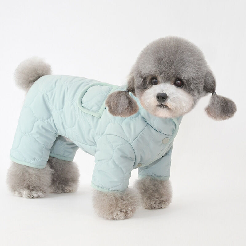 Ropa para mascotas ropa de abrigo de invierno para perros ropa de algodón de cuatro patas para mascotas ropa de algodón para Teddy Boomer ⋆ petmascotas.es
