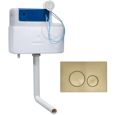 Roper Rhodes Cascade Cistern and Rondo Brushed Brass Dual Flush Plate
