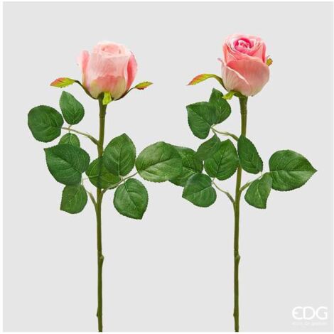 Rosa bocciolo Olis colori assortiti 51 cm