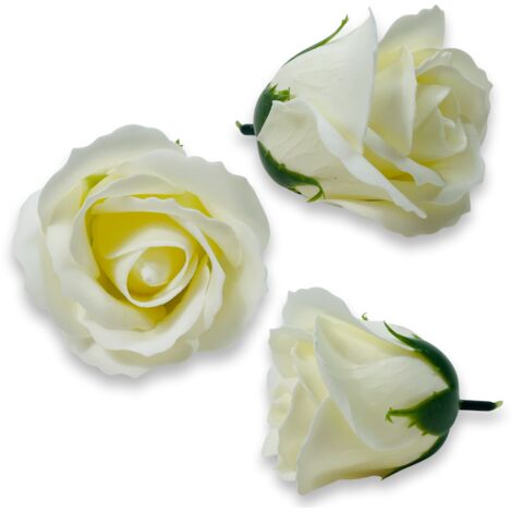 Rosa de jabón color crema