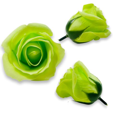 Rosa de jabón verde claro