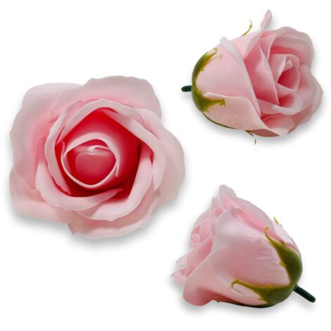 Rosa di sapone rosa chiaro