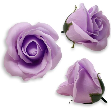 Rosa di sapone viola chiaro