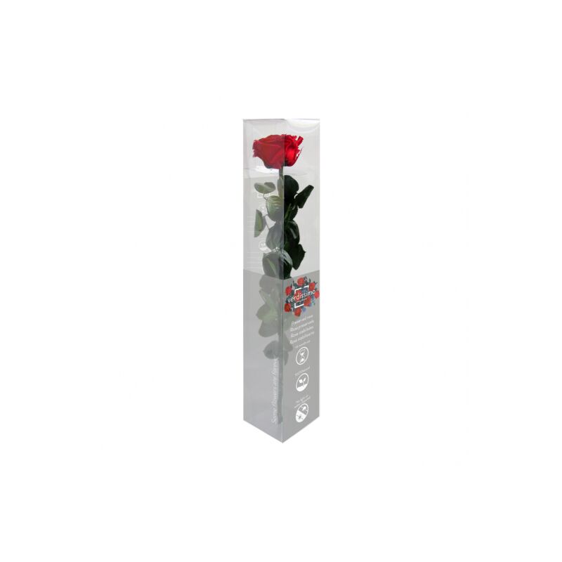 

Rosa Eterna (Varios Colores)