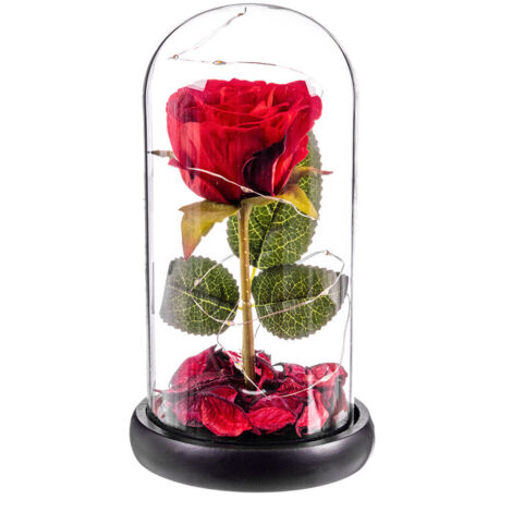 Rosa  rosso eterna led cupula cristal 20 cm caison