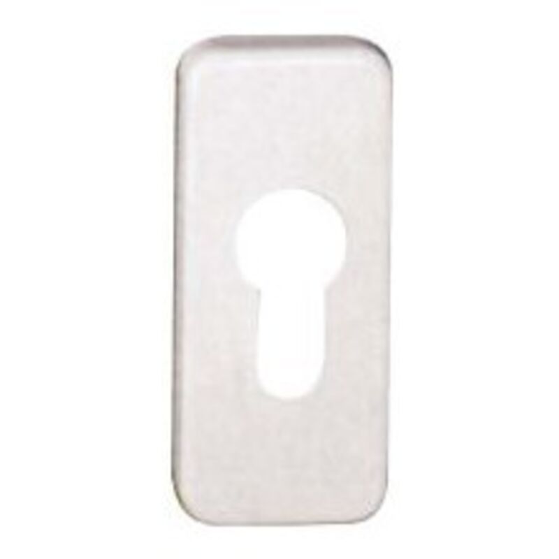 Rosace clé F1 pz Nr.5804110 (Par 10)