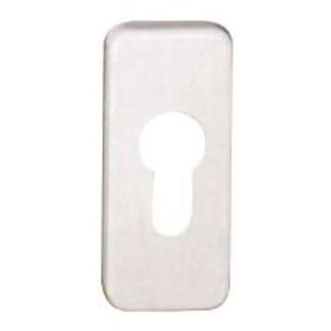 Rosace clé F1 PZ Nr.5804110 (Par 10)