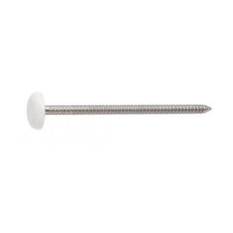 Rosace ronde ou cache vis (1 rosace et 1 cuvette de vis) Laiton Diamètre 15 Pour Vis M5