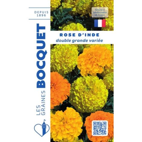 Rose d'Inde double grande variée - 1,5g