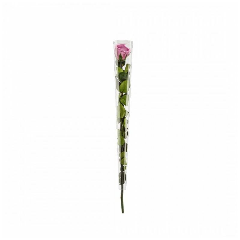 Naturalys - Rose en tige stabilisée Coloris lilas