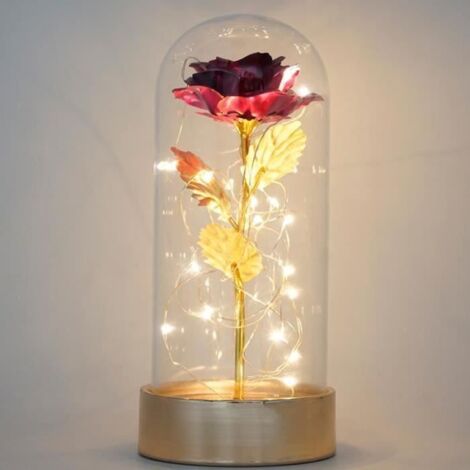 Rose éternelle - La Belle et la Bête - Rouge - Lumières LED - Décoratif - Cadeau Saint Valentin