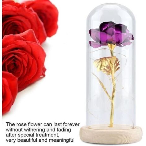 Rose éternelle - La belle et la Bête - Violet - Couvercle en verre - Base en bois - 22 cm de hauteur