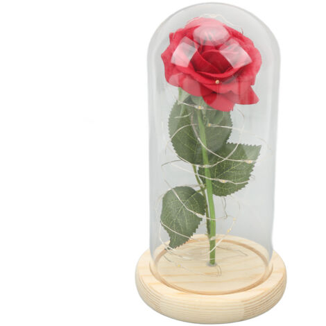 Rose Éternelle sous Cloche avec LED - Idée Cadeau Romantique pour Saint-Valentin