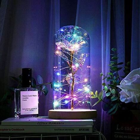 Rose éternelle sous cloche La Belle et la Bête - ZGEER - Coloré - LED chaude - Verre et pin