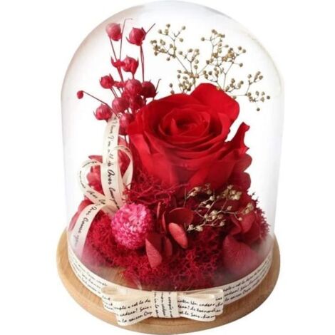 Rose Eternelle sous Cloche - Naturelle - Rouge - Cadeau pour Femmes - Saint-Valentin Fête des Mères