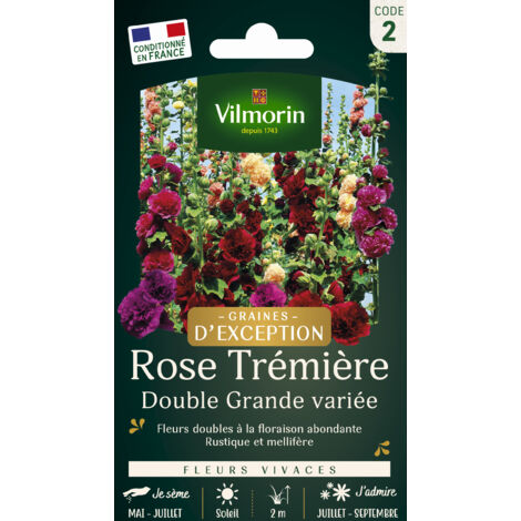 Rose trémière double grande variée – Fleurs géantes blanc à grenat – Plante vivace 2m – Semis de mai à juillet à mi-ombre – Vilmorin