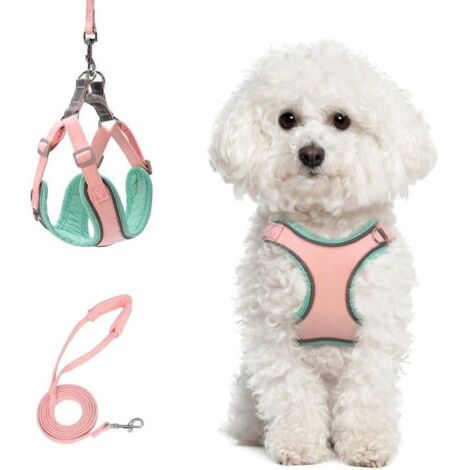 (Rose)Harnais pour Chien,Harnais pour Chat,Harnais pour Petits Chiens,Dressage Harnais pour Chiens Taille XS