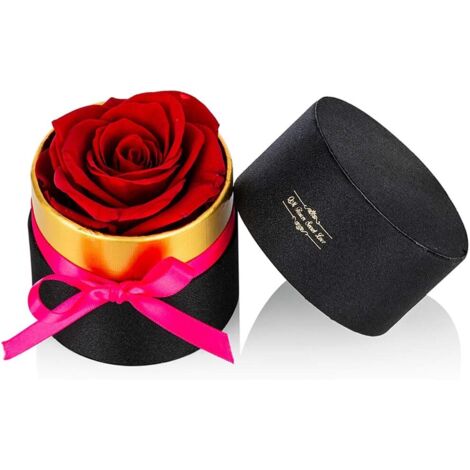 Roses Conservées Rouges dans Une Boîte à Fleurs Taille Mini à la Main Vraies Fleurs Pétales Éternels, Cadeaux Romantiques pour Petite Amie, Fête des Mères Anniversaire Mariage Noël-Fei Yu