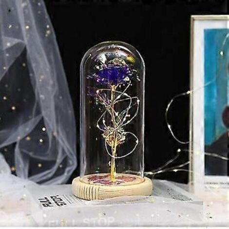 Roses éternelles - Coffret de roses artificielles « Beauté et Animaux » sous dôme de verre avec lumières LED - Cadeau pour femme ou maman