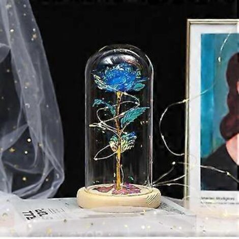 Roses éternelles - Coffret de roses artificielles « Beauté et Animaux » sous dôme de verre avec lumières LED - Cadeau pour femme ou maman