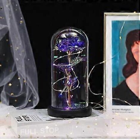 Roses éternelles - Coffret de roses artificielles « Beauté et Animaux » sous dôme de verre avec lumières LED - Cadeau pour femme ou maman