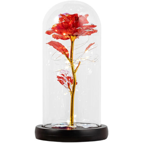Roses séchées dans une bouteille en verre, avecdirigéLampe rouge (dans une boîte cadeau rose)