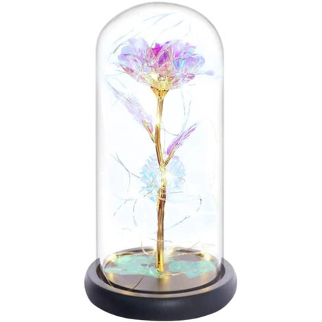 Roses séchées dans une bouteille en verre, avecdirigéLumières (Édition Arc-en-ciel) (Coffret cadeau rose)