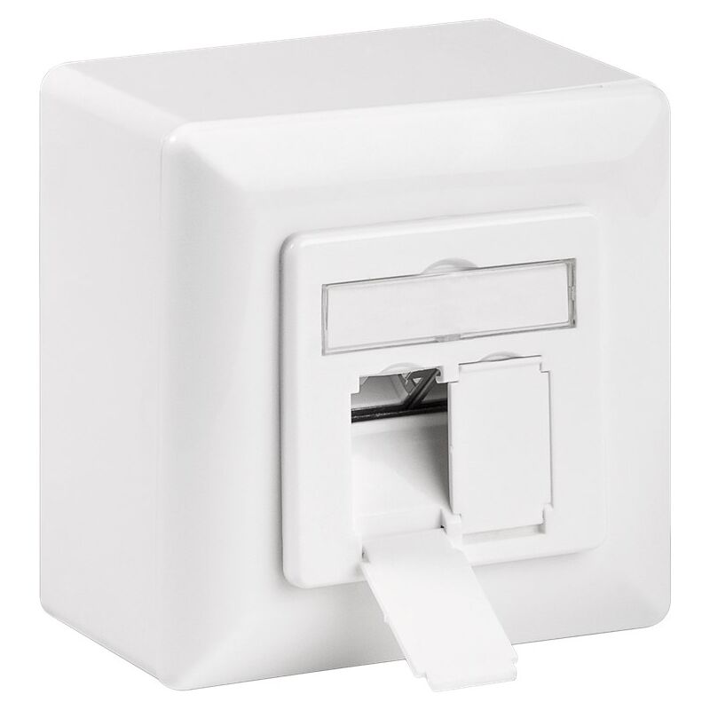

Toma Pared Superficie RJ45 Cat6 DOBLE