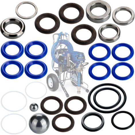 Rosfix Set Kit Réparation Pistolet – Aiguille Haute Précision  compatible avec pistolet à peinture Graco Silver Plus et Flex Plus  Accessoire pour finition fine