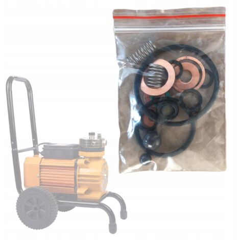 Rosfix Set Kit Réparation pour Pompe Membrane – Joints, Billes, Rondelles, Ressorts  Haute Qualité  Pour Pulvérisateur Rosfix  Accessoire pour Peinture Airless