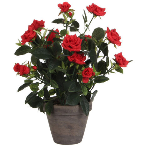 Rosier Rouge Pvc Dans Pot Gris D11.5cm-H33xd25cm