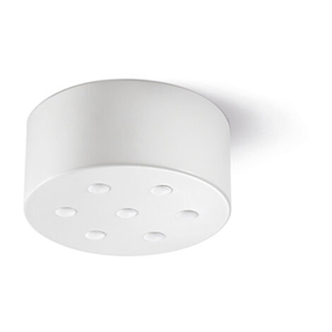 Rosone Multicavo 7 Fori In Metallo Bianco Opaco D12Cm