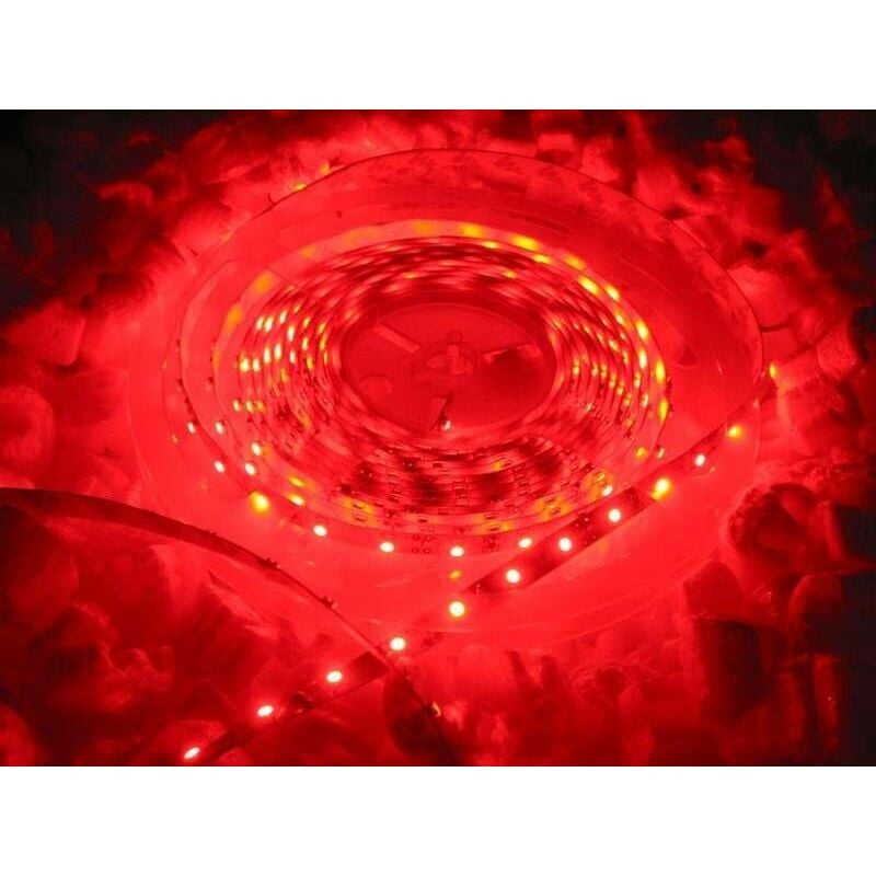 Image of Rosso 5m led strip striscia impermeabile 12v 4.8w/m 300x smd3528 24w IP65 C3E1